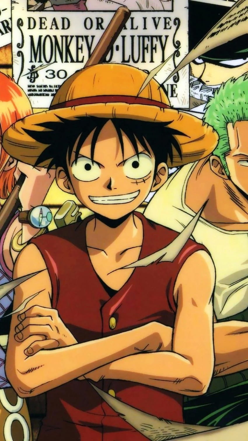 Capa do anime One Piece com os personagens principais